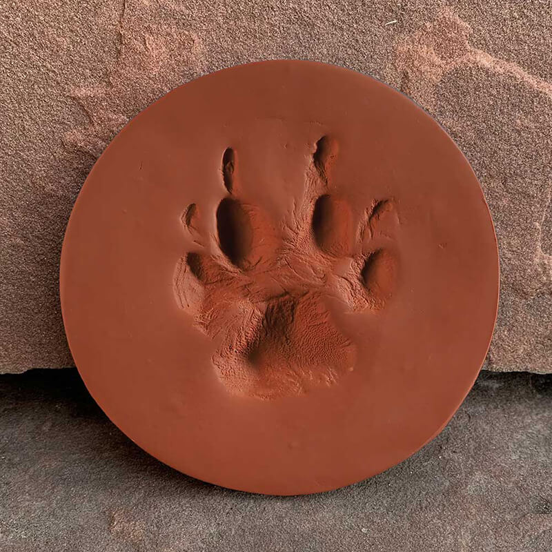 dog paw print clay